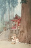 Default Thumbnail Image A