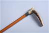 Default Thumbnail Image A