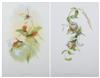 Default Thumbnail Image A