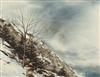Default Thumbnail Image A