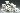 Default Thumbnail Image A