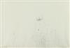 Default Thumbnail Image A