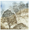 Default Thumbnail Image A