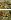 Default Thumbnail Image A