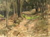 Default Thumbnail Image A