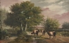 Default Thumbnail Image A