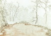 Default Thumbnail Image A