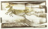 Default Thumbnail Image A