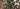 Default Thumbnail Image A