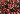 Default Thumbnail Image A