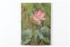 Default Thumbnail Image A