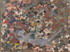 Default Thumbnail Image A