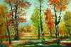 Default Thumbnail Image A