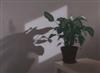 Default Thumbnail Image A
