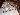 Default Thumbnail Image A