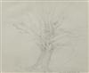 Default Thumbnail Image A