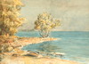 Default Thumbnail Image A