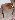 Default Thumbnail Image A