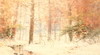 Default Thumbnail Image A