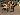 Default Thumbnail Image A