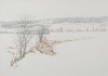 Default Thumbnail Image A