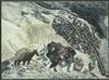 Default Thumbnail Image A