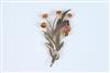Default Thumbnail Image A