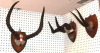 Default Thumbnail Image A