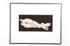 Default Thumbnail Image A
