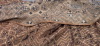 Default Thumbnail Image A