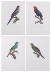 Default Thumbnail Image A