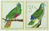 Default Thumbnail Image A