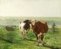 Default Thumbnail Image A