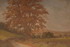 Default Thumbnail Image A