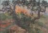 Default Thumbnail Image A