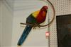 Default Thumbnail Image A