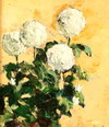 Default Thumbnail Image A