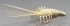 Default Thumbnail Image A