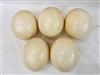 Default Thumbnail Image A