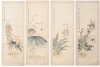 Default Thumbnail Image A