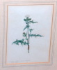 Default Thumbnail Image A