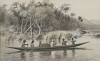 Default Thumbnail Image A