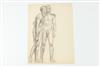 Default Thumbnail Image A