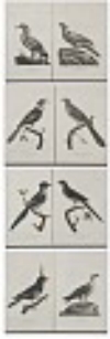 Default Thumbnail Image A