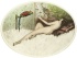 Default Thumbnail Image A