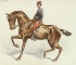 Default Thumbnail Image A