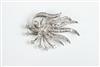 Default Thumbnail Image A