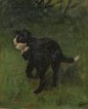 Default Thumbnail Image A