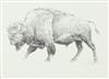 Default Thumbnail Image A