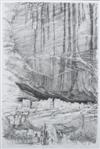 Default Thumbnail Image A